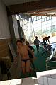 triflers2008 10810